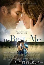 The Best of Me (2014) Online Subtitrat (/)