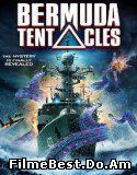 Bermuda Tentacles (2014) Online Subtitrat (/)