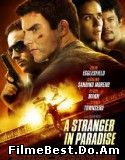 A STRANGER IN PARADISE (2013) ONLINE SUBTITRAT (/)