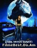 Dark Moon Rising (2009) Online Subtitrat (/)