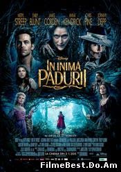 Into The Woods (2015) Online Subtitrat (/)