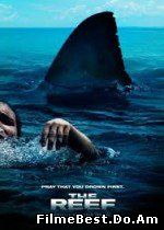 The Reef - Reciful (2010) Online Subtitrat (/)