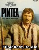 Pintea (1977) Online Subtitrat (/)